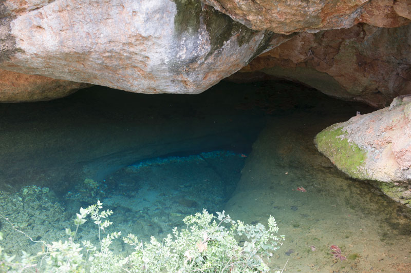 20 coins de nature autour de montpellier : pique nique et rivière 13 - MontpelYeah Magazine 20 coins de nature autour de montpellier : pique nique et rivière 12 - MontpelYeah Magazine
