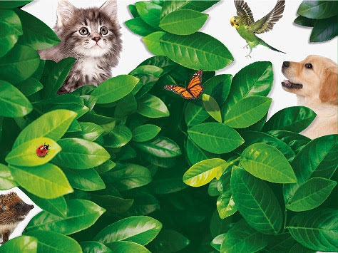 Nouvelle edition de Coeur Animal, l'évènement en faveur de LA PROTECTION DE L'ANIMAL EN VILLE 45 - MontpelYeah Magazine