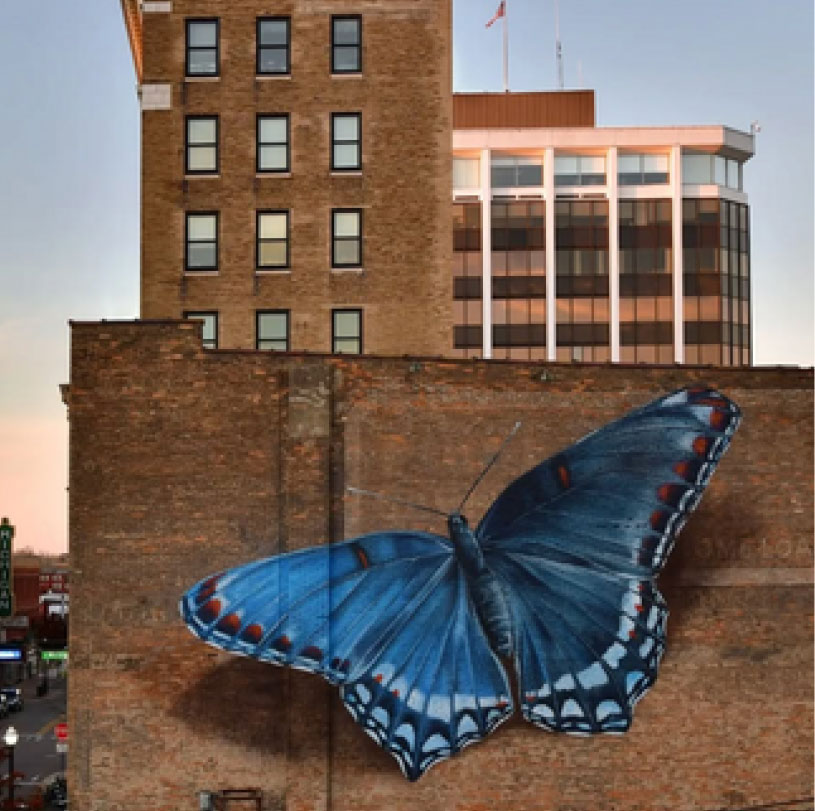 Saint-Jean-de-Védas accueille une fresque monumentale signée Mantra, l'artiste des papillons 33 - MontpelYeah Magazine