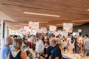 À Lattes, 120 vins et 30 vignerons du Pays d'Oc se donnent en spectacle pour une soirée à 7€ 11 - MontpelYeah Magazine