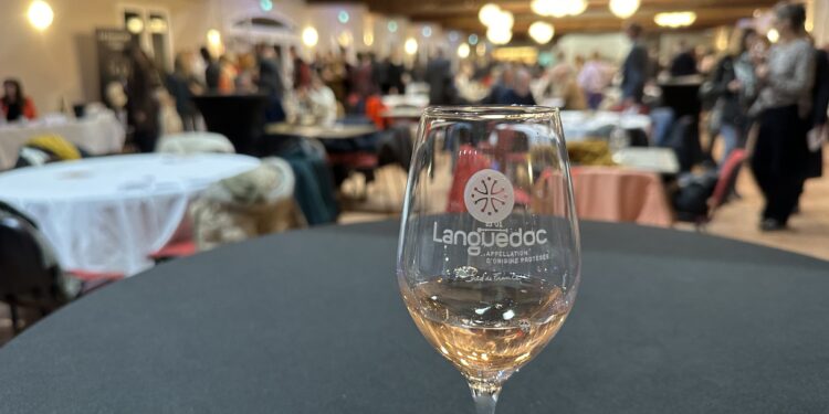 Étal de producteurs du terroir lors d'un marché gourmand en extérieur