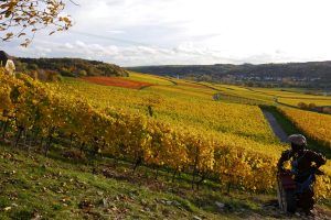 Vélo, vin et bonne humeur : une virée cycliste conviviale au cœur des vignobles de Castries 3 - MontpelYeah Magazine