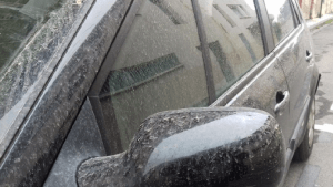 Pluies sableuses et orageuses pour commencer le week-end (14/15 juin) 13 - MontpelYeah Magazine