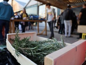 Un nouveau marché Paysan bio et raisonné comme on l'aime ! 19 - MontpelYeah Magazine